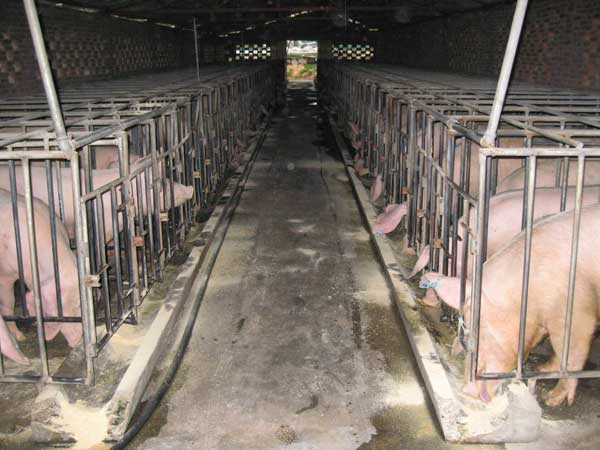 ��(du��)��ʽ��늂��������ڱO(ji��n)��